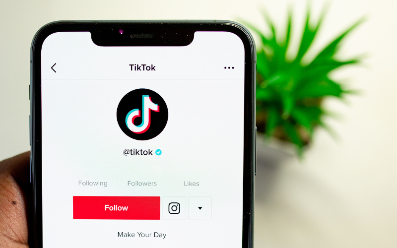 Person holding a phone with the TikTok app opened.
