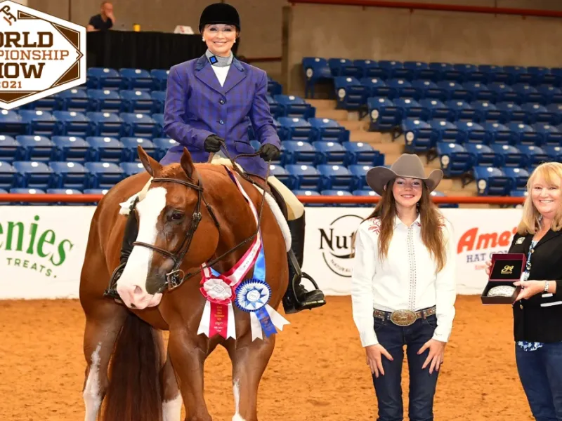 Equine awards photoshoot.